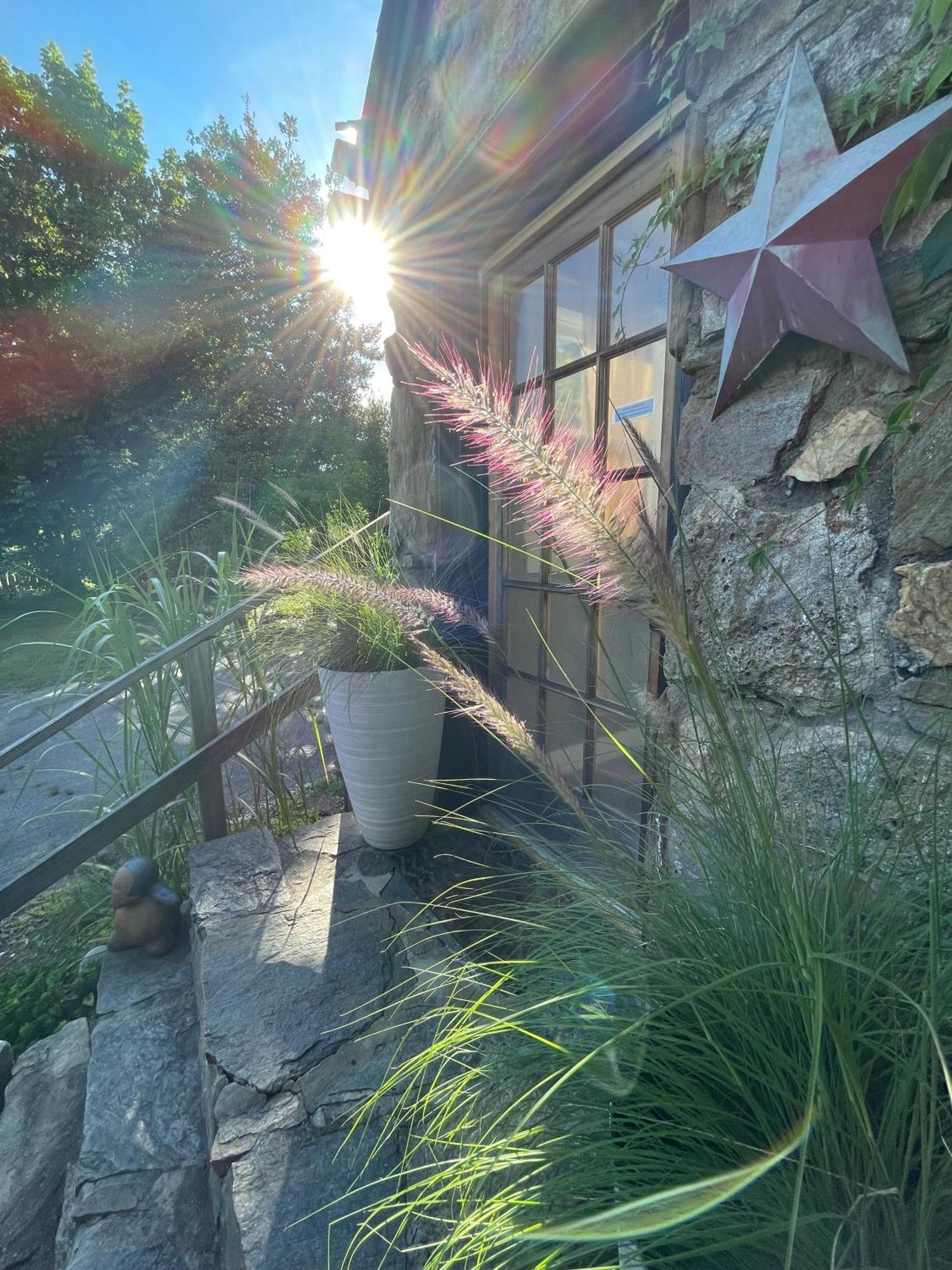 Asheville Urban Farmhouse Entire Home 4 Mi To Dt Exterior foto